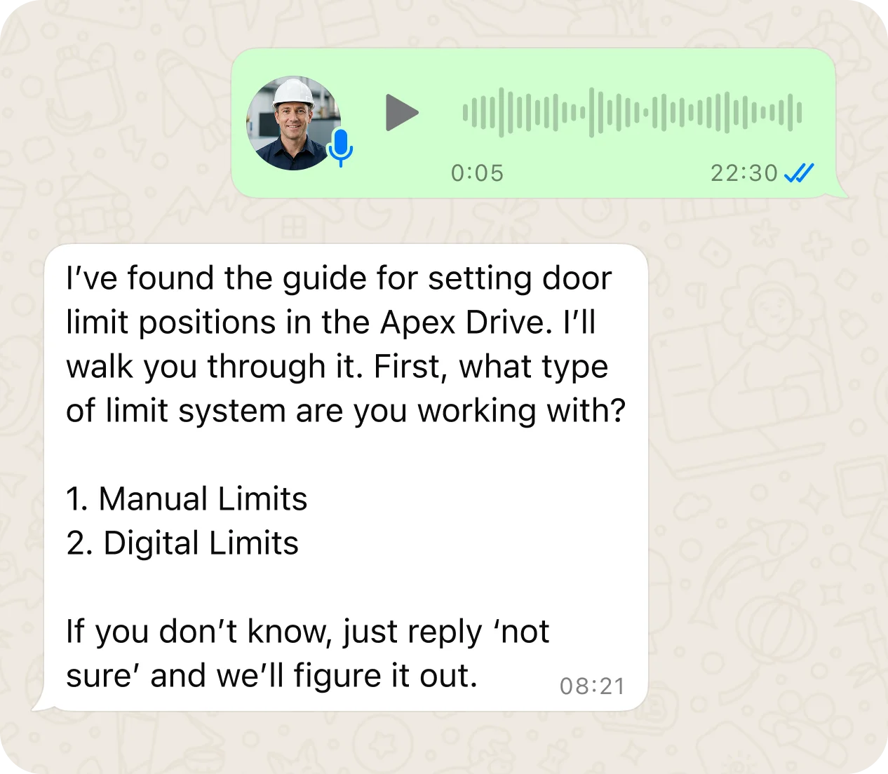 Voice notes from WhatsApp